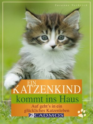 cover image of Ein Katzenkind kommt ins Haus